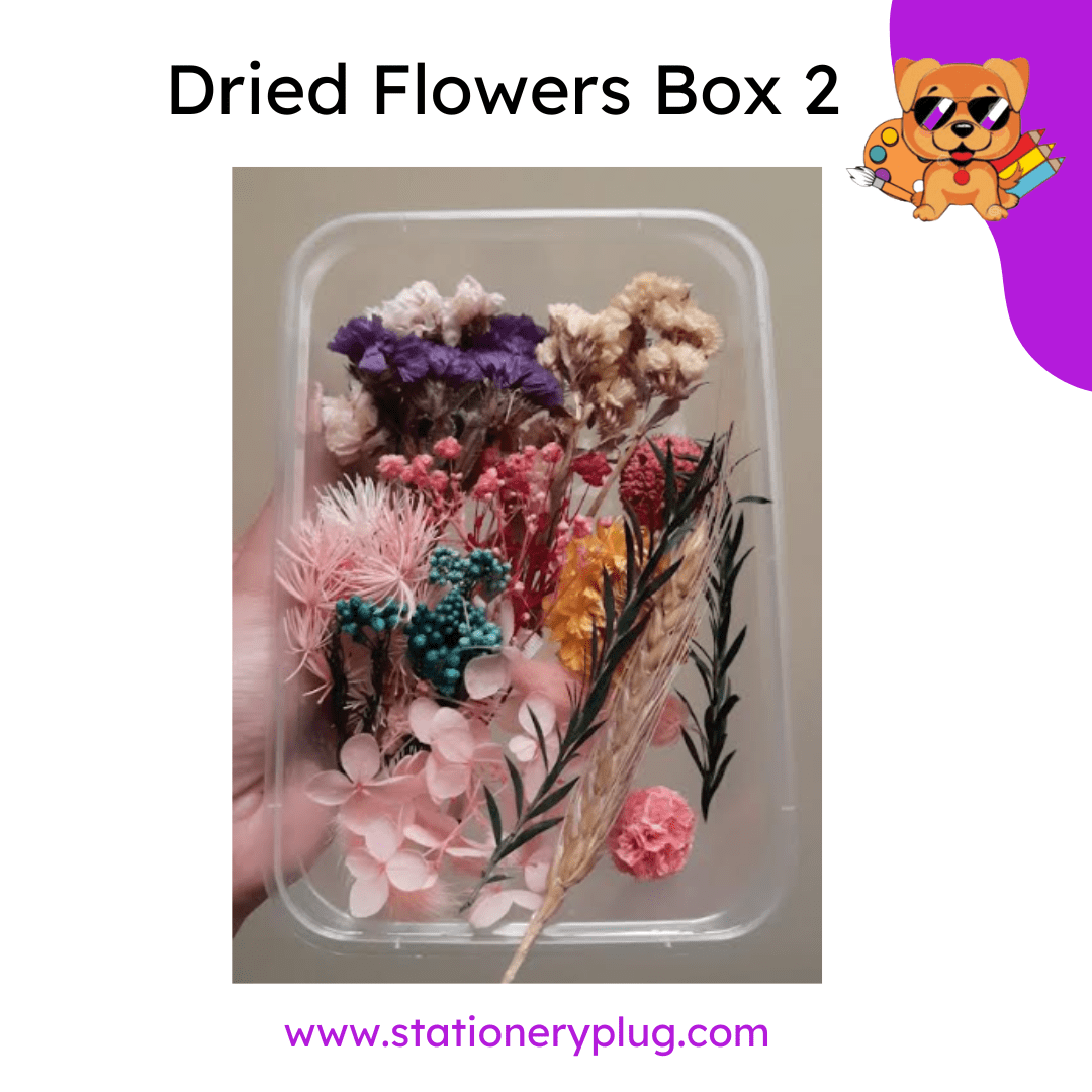 Dry & Artificial Flowers for Resin Crafts - Stationery Plug