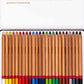 Camlin Artist Colour Pencils Set of 24