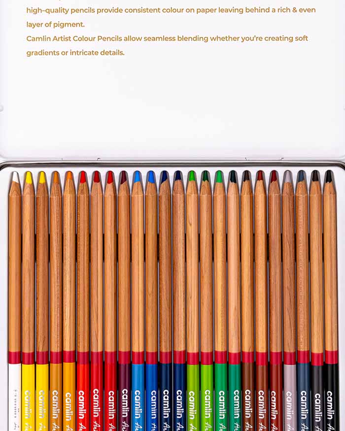 Camlin Artist Colour Pencils Set of 24