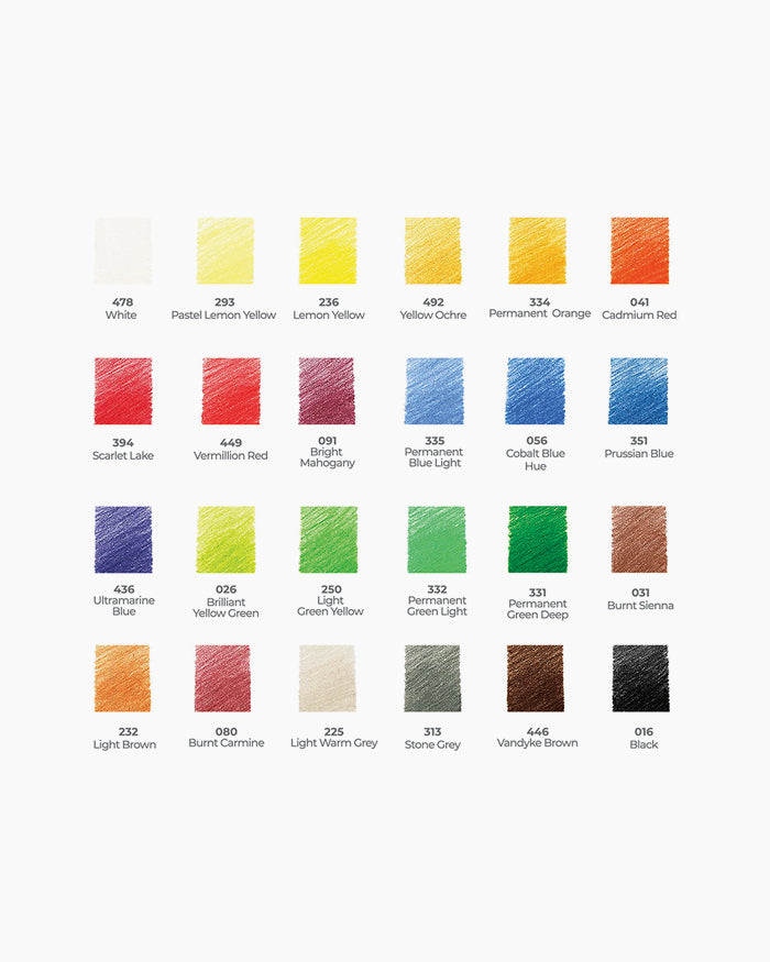 Camlin Artist Colour Pencils Set of 24