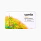 Camlin Artist Colour Pencils Set of 72